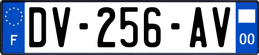 DV-256-AV