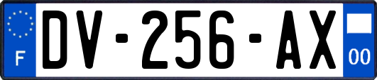 DV-256-AX