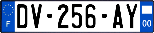 DV-256-AY