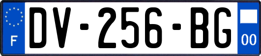 DV-256-BG