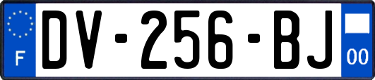 DV-256-BJ