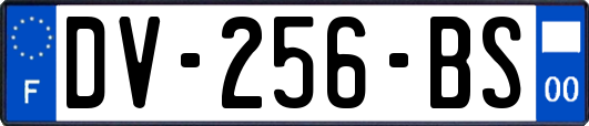 DV-256-BS