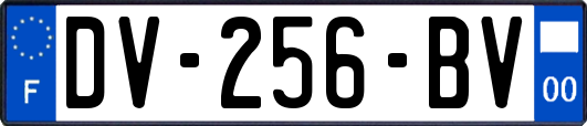 DV-256-BV