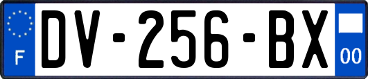 DV-256-BX