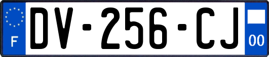 DV-256-CJ