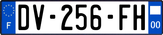 DV-256-FH