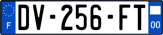 DV-256-FT