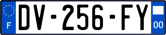 DV-256-FY