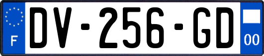 DV-256-GD