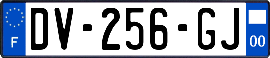 DV-256-GJ