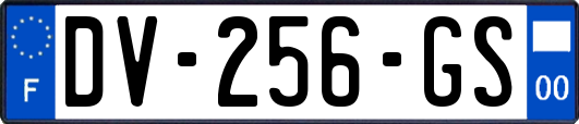 DV-256-GS