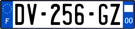 DV-256-GZ