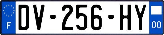 DV-256-HY