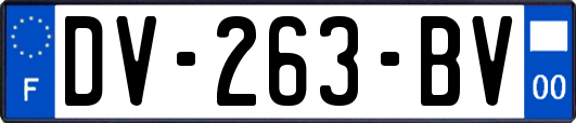 DV-263-BV