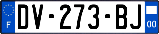 DV-273-BJ