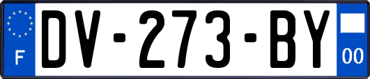 DV-273-BY