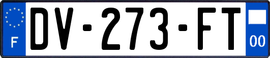 DV-273-FT