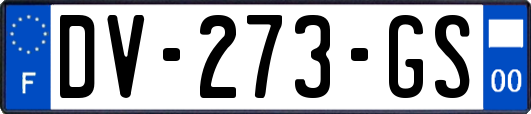 DV-273-GS