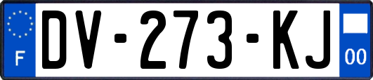 DV-273-KJ