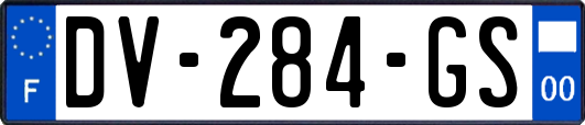 DV-284-GS