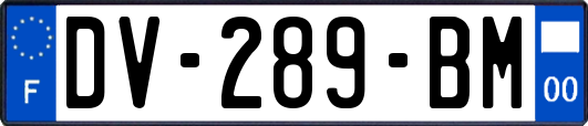 DV-289-BM