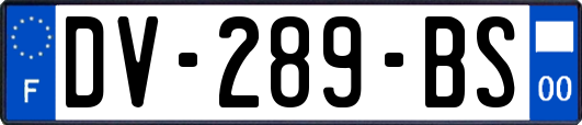 DV-289-BS