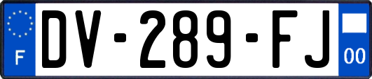 DV-289-FJ