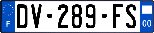 DV-289-FS