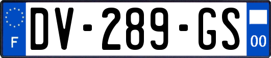 DV-289-GS