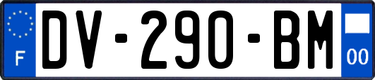 DV-290-BM