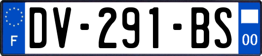 DV-291-BS