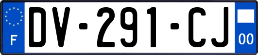 DV-291-CJ