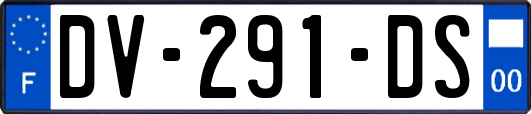 DV-291-DS