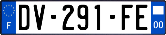 DV-291-FE