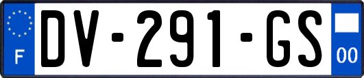 DV-291-GS