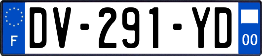 DV-291-YD