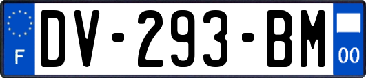 DV-293-BM