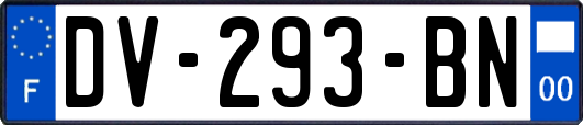 DV-293-BN