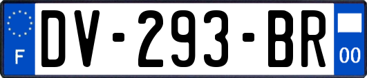 DV-293-BR