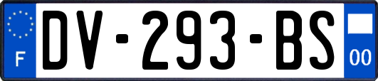 DV-293-BS