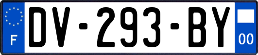 DV-293-BY