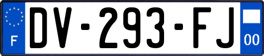 DV-293-FJ