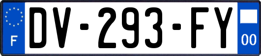 DV-293-FY