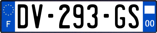 DV-293-GS