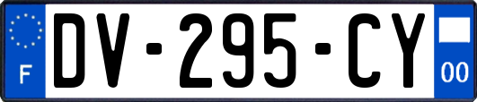 DV-295-CY