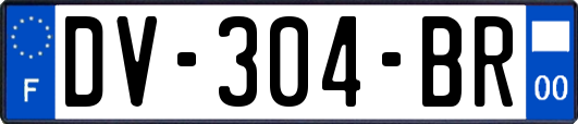 DV-304-BR