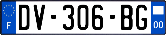 DV-306-BG