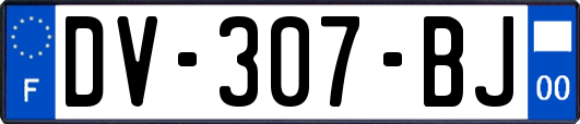 DV-307-BJ