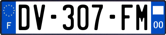 DV-307-FM