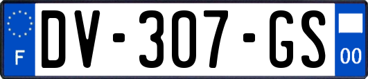 DV-307-GS